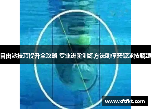 自由泳技巧提升全攻略 专业进阶训练方法助你突破泳技瓶颈