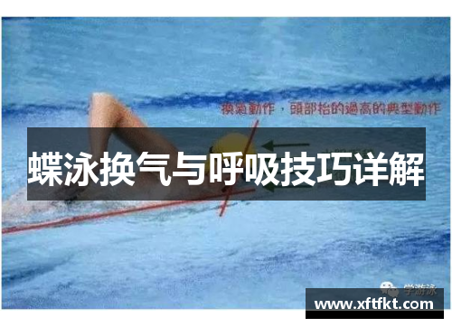蝶泳换气与呼吸技巧详解